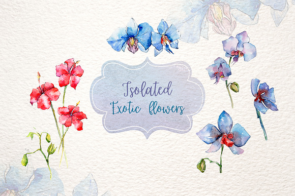 Exotic red and blue orchids PNG set in Illustrations - product preview 2