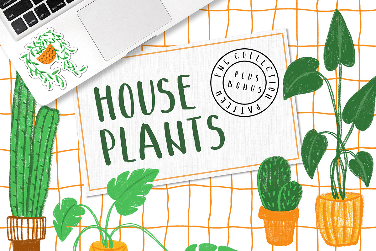 HOUSEPLANTS – PNG & Patterns Pack in Illustrations - product preview 8