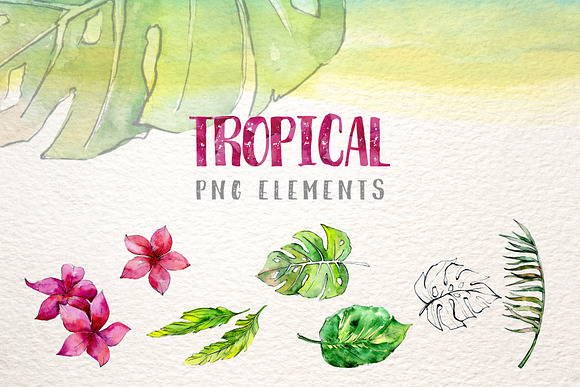 Tropical leaves collection PNG set in Illustrations - product preview 1