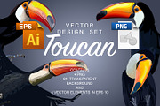 Toucan Vector Design Set