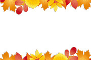 Colorful autumn template with leaves