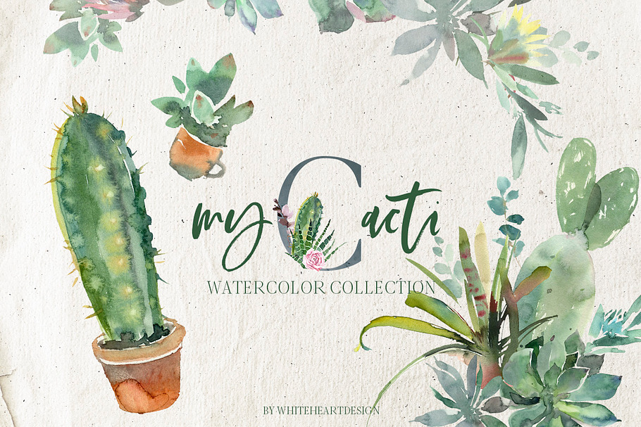 Cacti Watercolor Cactuses Clipart 