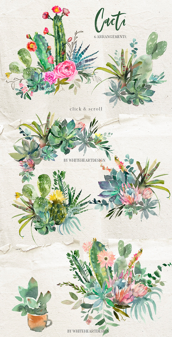 Cacti Watercolor Cactuses Clipart  in Illustrations - product preview 1
