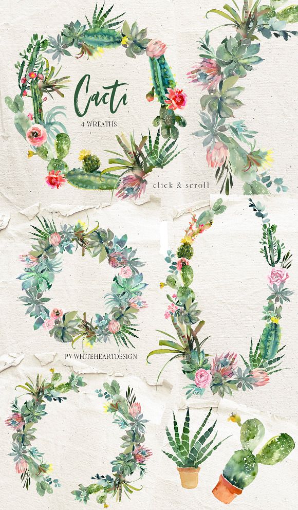 Cacti Watercolor Cactuses Clipart  in Illustrations - product preview 2
