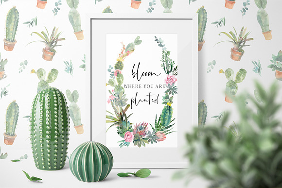 Cacti Watercolor Cactuses Clipart  in Illustrations - product preview 3