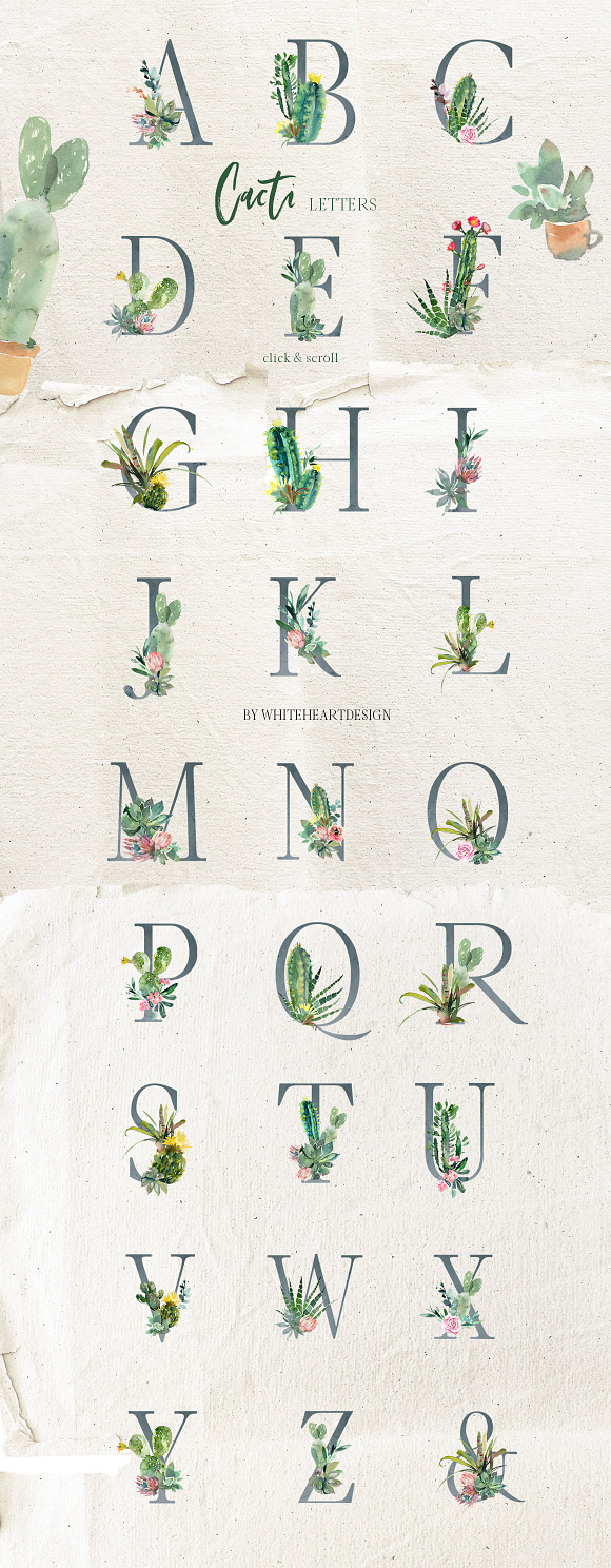 Cacti Watercolor Cactuses Clipart  in Illustrations - product preview 4
