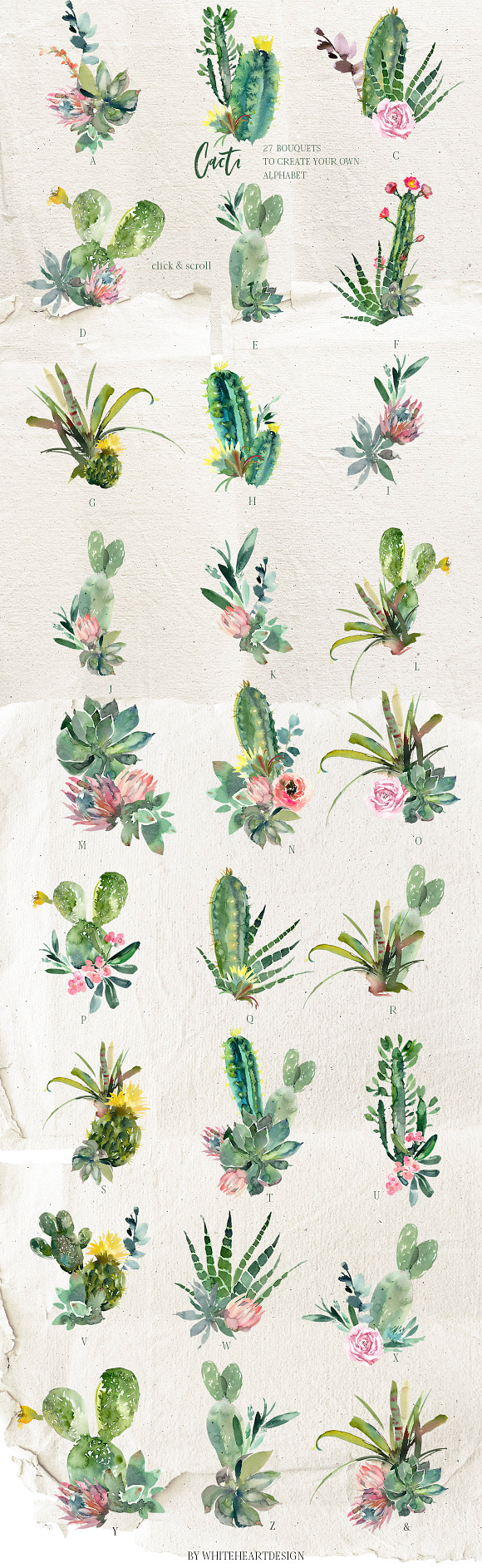 Cacti Watercolor Cactuses Clipart  in Illustrations - product preview 6