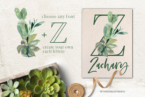 Cacti Watercolor Cactuses Clipart  in Illustrations - product preview 7