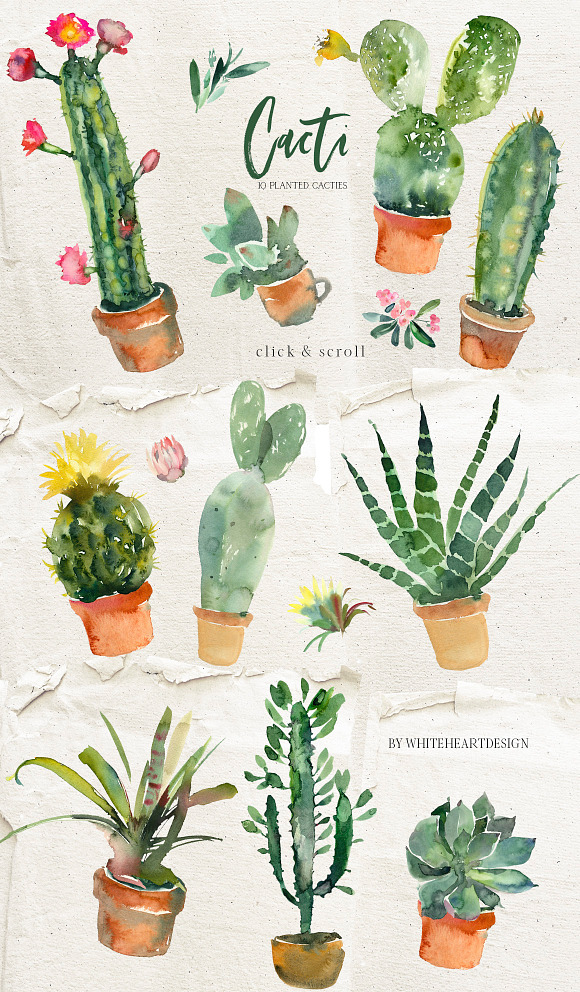 Cacti Watercolor Cactuses Clipart  in Illustrations - product preview 9