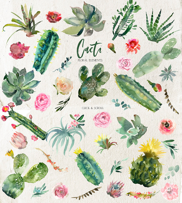 Cacti Watercolor Cactuses Clipart  in Illustrations - product preview 12