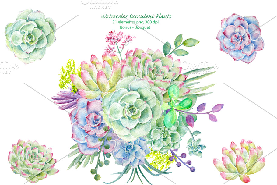 Watercolor Clipart Succulent Plants