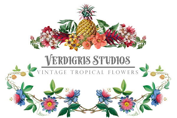 Vintage Tropical Flower Graphics