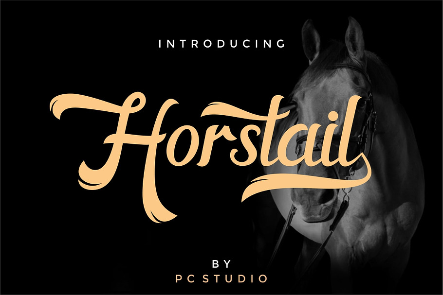 Horstail Typeface in Display Fonts - product preview 8
