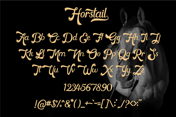 Horstail Typeface in Display Fonts - product preview 7