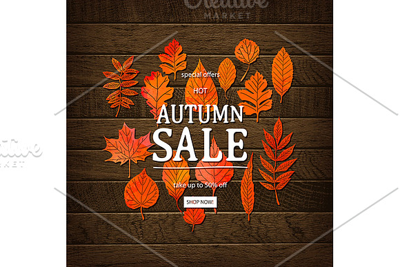 Hello Autumn. Sale banner  in Graphics - product preview 1