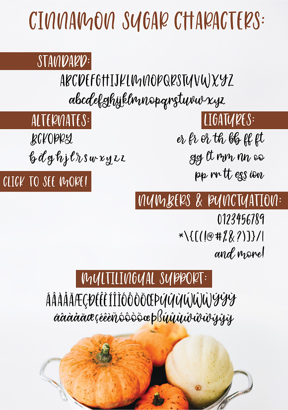 Cinnamon Sugar Script Font in Script Fonts - product preview 8