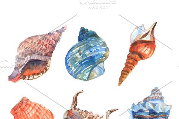 Watercolor shell decorative icons