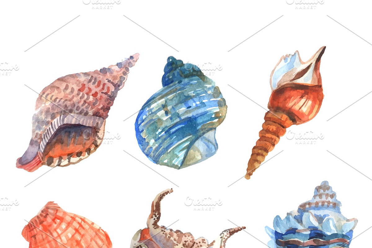 Watercolor shell decorative icons in Icons - product preview 8