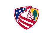 American Patriot Rugby Shield