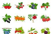Colorful berries icons set