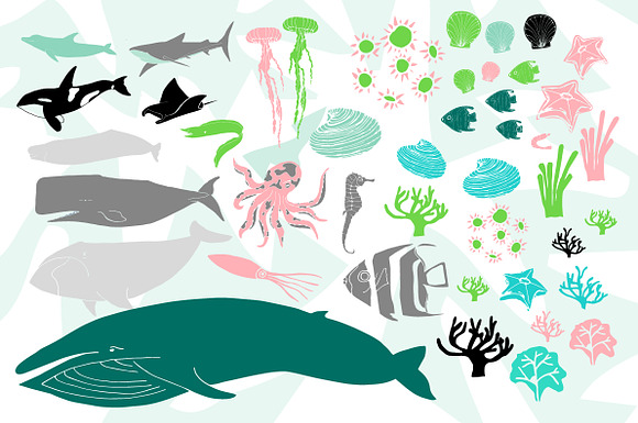 Marine Life Vector Pack in Illustrations - product preview 2