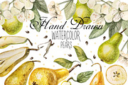 Beautiful watercolor pears