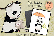 Cute Panda Collection