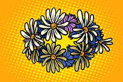 wreath of wild flowers chamomile