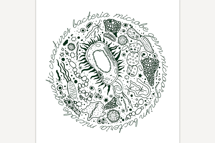 Bacteria hand-drawn image