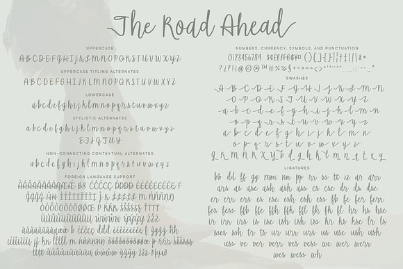 The Road Ahead in Script Fonts - product preview 2