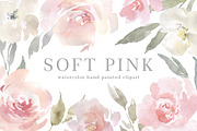Blush Pink Watercolor Flowers PNG