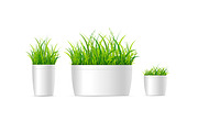 3d Grass Houseplant Set. Vector
