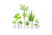 3d Green Houseplant Pot. 
