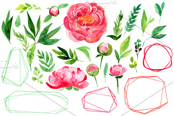 Abstract peonies and leaves in Illustrations - product preview 1