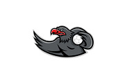 Eagle Handball Player Mascot