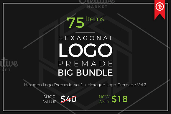 Hexagon Logo Premade, Big Bundle in Logo Templates - product preview 10