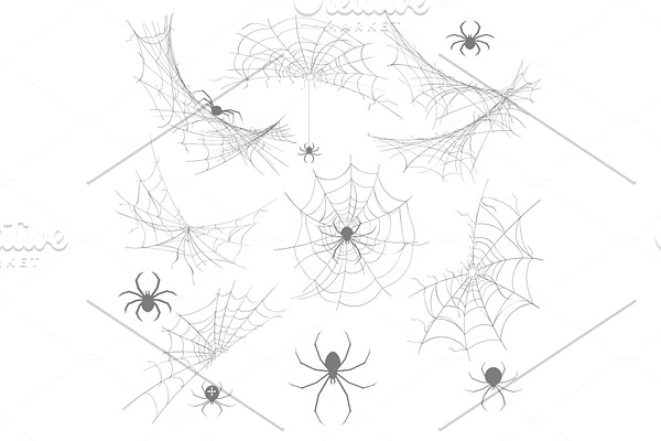 Spider with cobweb