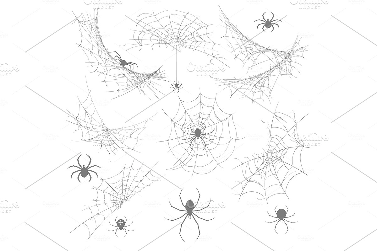 Spider with cobweb in Illustrations - product preview 8