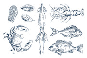 Sea Delicacy Vector Illustration
