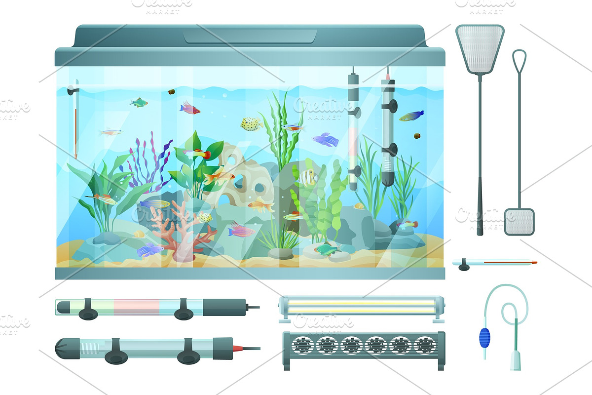 Aquarium and Devices Set, Vector in Illustrations - product preview 8