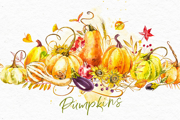 Pumpkins watercolor collection in Illustrations - product preview 1