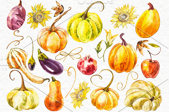 Pumpkins watercolor collection in Illustrations - product preview 4