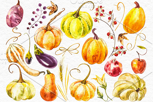 Pumpkins watercolor collection in Illustrations - product preview 5