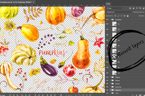 Pumpkins watercolor collection in Illustrations - product preview 6