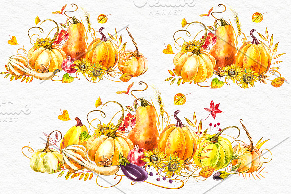 Pumpkins watercolor collection in Illustrations - product preview 13