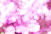 Soft bohek pink palette background