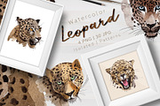 Leopard PNG watercolor set