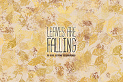 Leaves are Falling