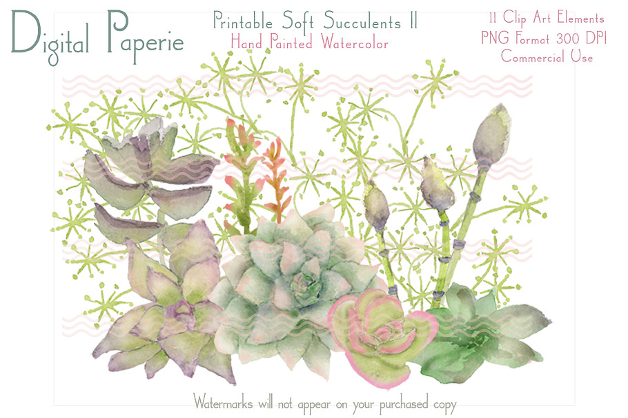 Digital Watercolor Succulents II in Illustrations - product preview 8