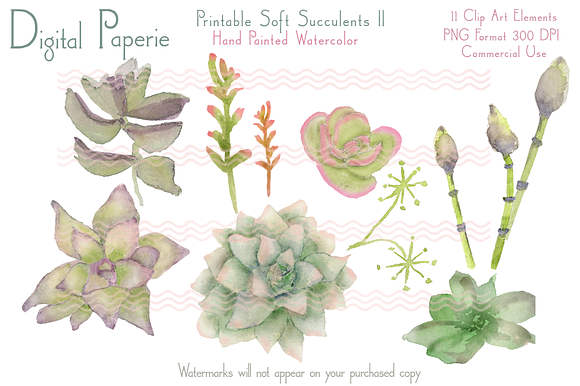 Digital Watercolor Succulents II in Illustrations - product preview 1